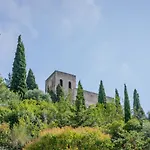 Le Zou Par Dodo-A-Cassis